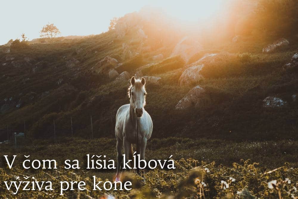 klbova vyziva pre kone