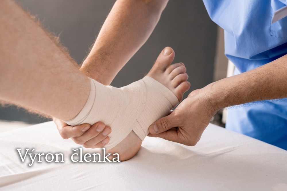 výron členka